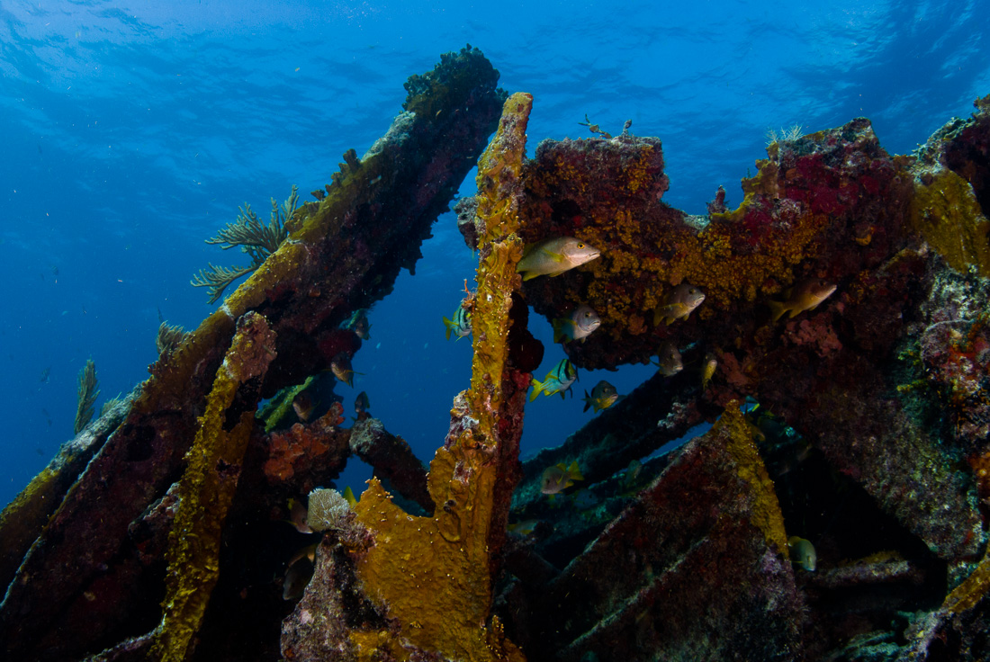  Bentwood wreck 