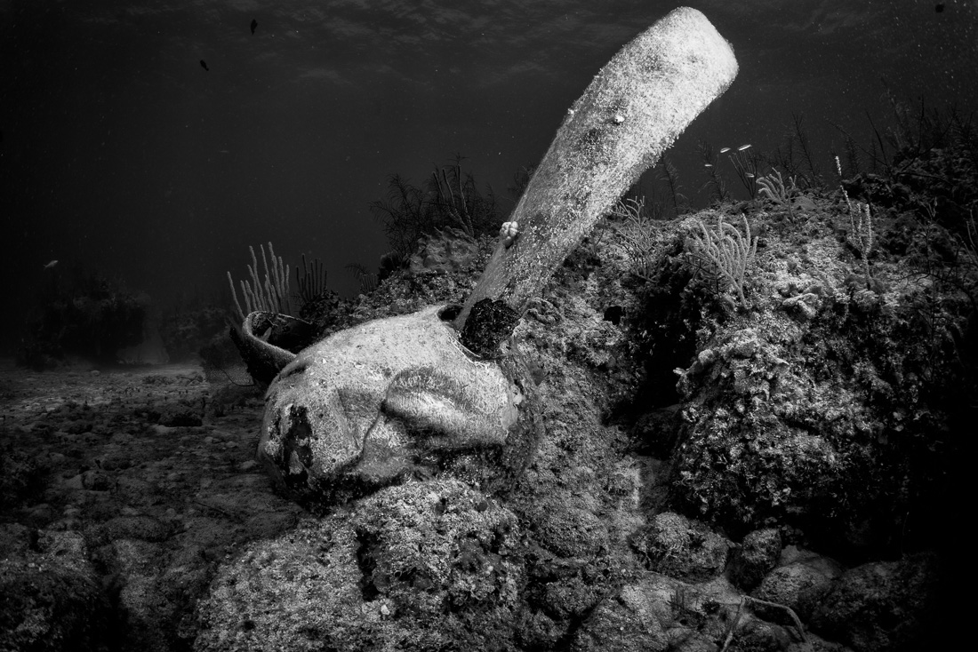  Propellor @ Papa Doc 