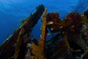  Bentwood wreck 