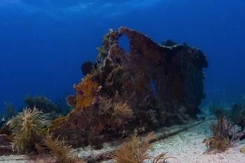  Benwoord Wreck 